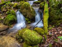 Doppelkaskade mit bemoosten Felsen und Baumstamm